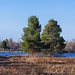 Blue River 로바니에미