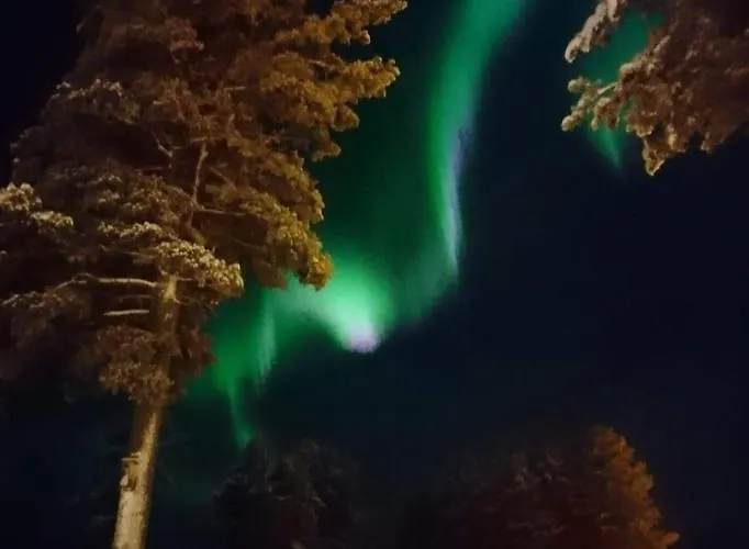 Blue River * Rovaniemi