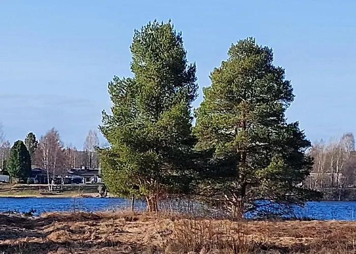 Blue River 로바니에미